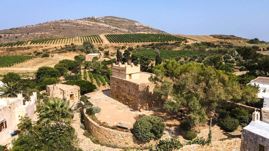 OB56hzh4_ZUQOrVWZ_Terra-Grazia Ktima 1.jpg